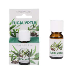 Olejek zapachowy 10 ml Eukaliptus